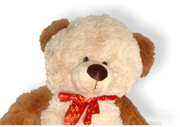 Teddies for Loving Care