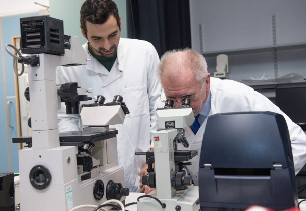 New arthritis study at University of Liverpool